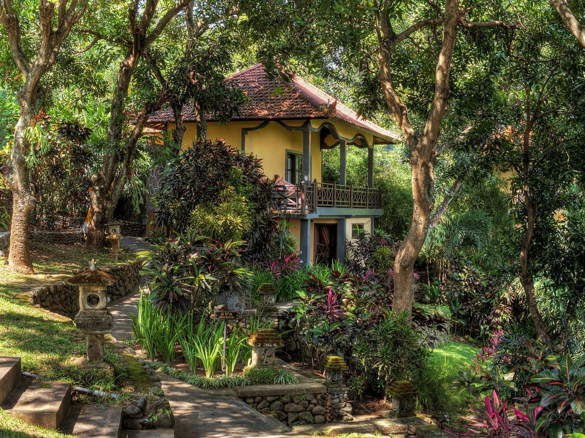 Puri Mangga Sea View Resort And Spa Lovina  Exterior photo
